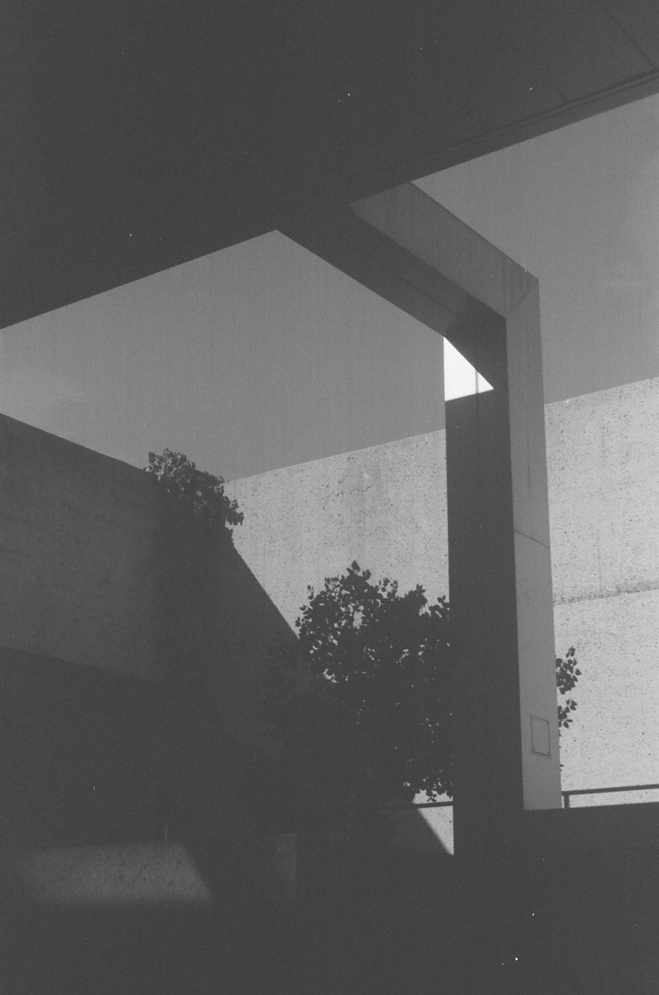 Concrete & Shadow
